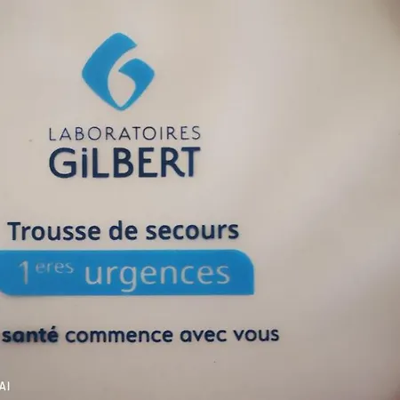 דירה 24m2 Au 4eme Etage Ascenseur A Cote De La Gare Sncf, Wifi 5g לורדה